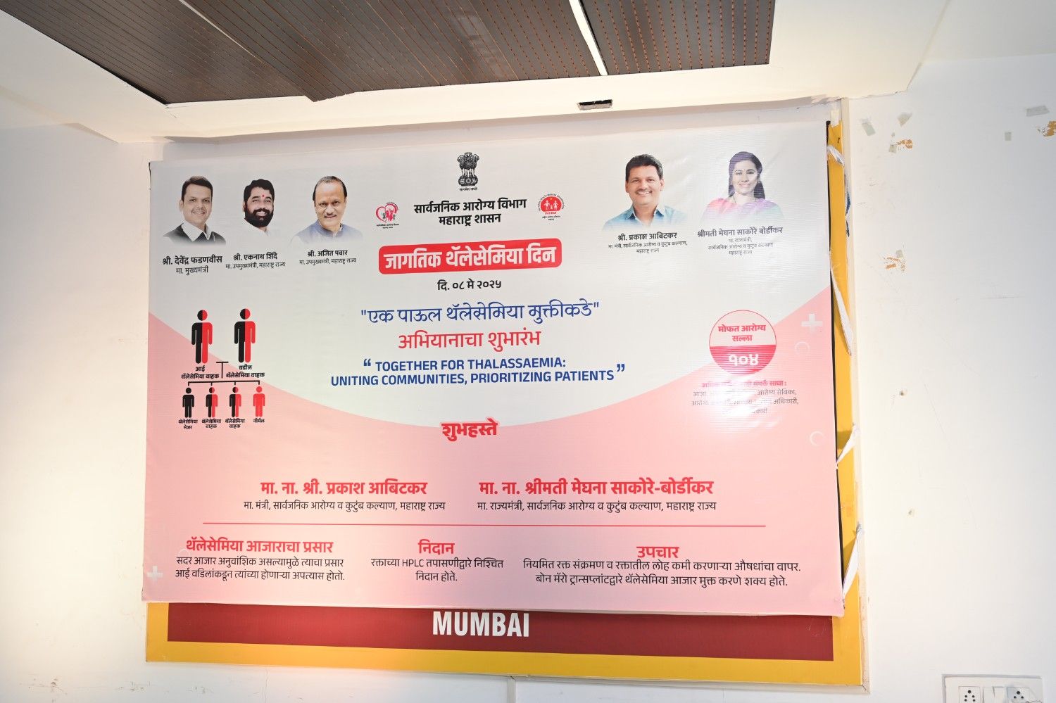 portfolio7
